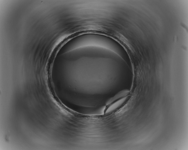 X0000097861024200803141234