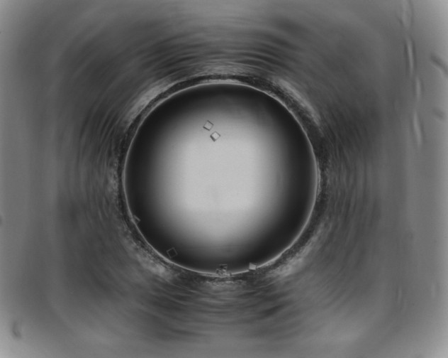 X0000097861025200803141234