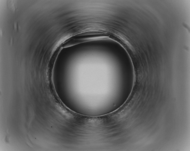 X0000097861026200803141234