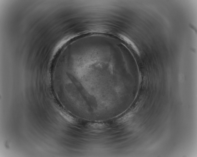 X0000097861027200803141234