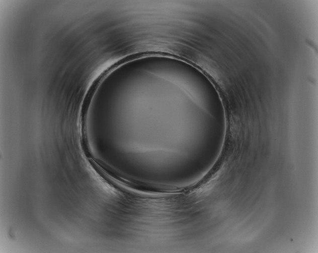 X0000097861028200803141234