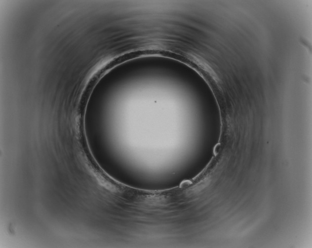 X0000097861029200803141234