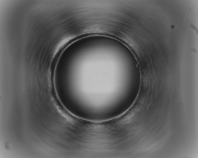 X0000097861030200803141234