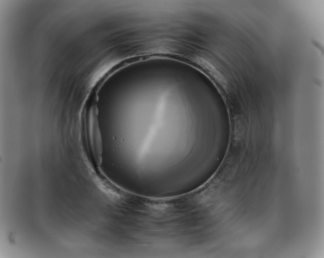 X0000097861031200803141234