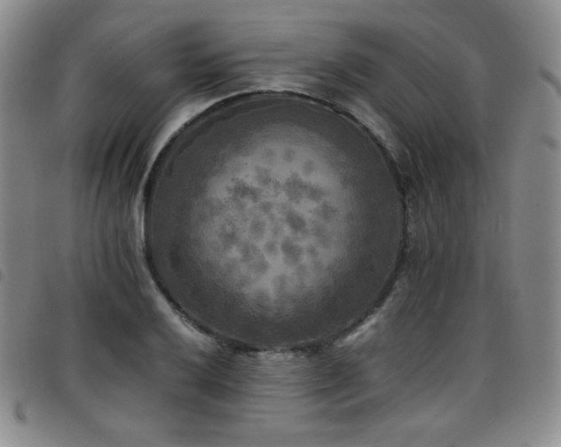 X0000097861032200803141234