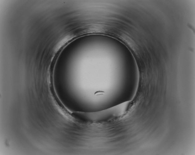 X0000097861034200803141234