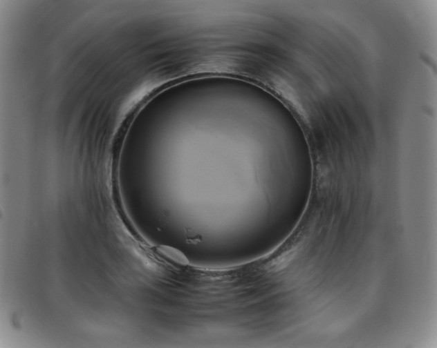 X0000097861035200803141234