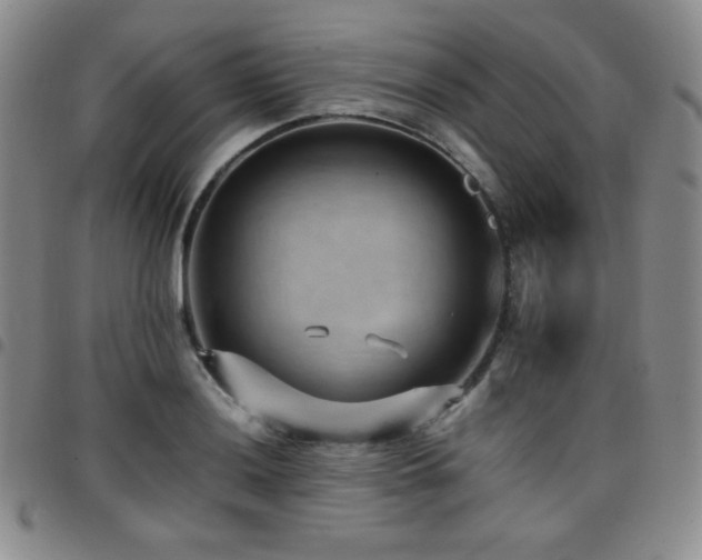 X0000097861036200803141234