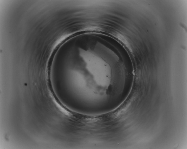 X0000097861037200803141234