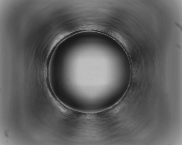 X0000097861040200803141234