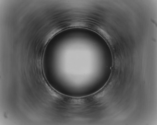 X0000097861041200803141234