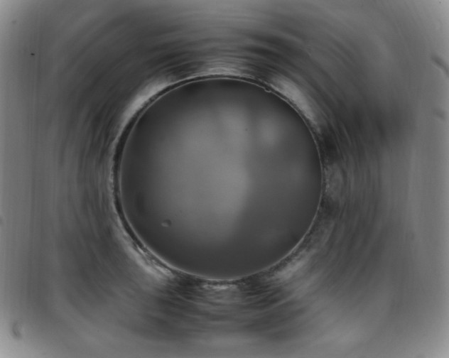 X0000097861043200803141234