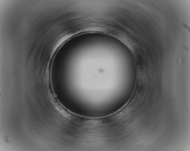 X0000097861044200803141234