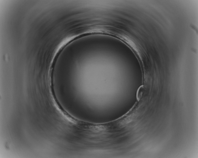 X0000097861045200803141234