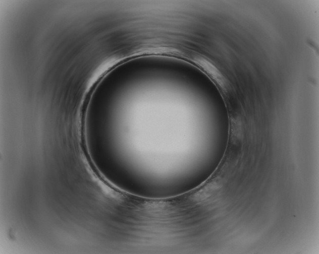 X0000097861046200803141234