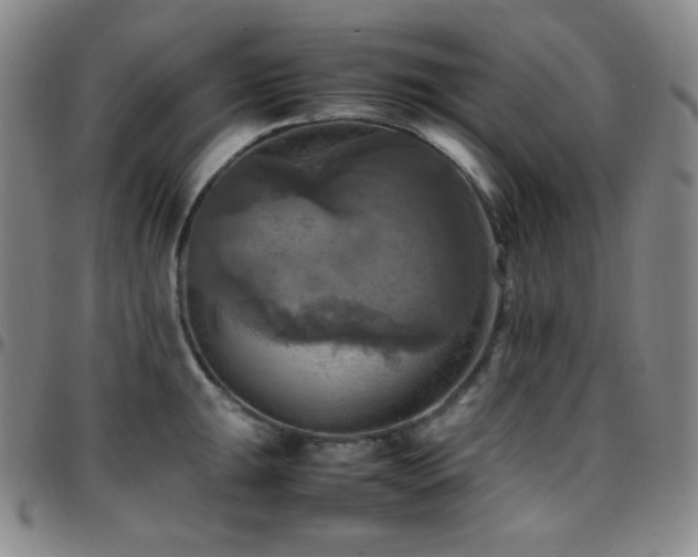 X0000097861047200803141234