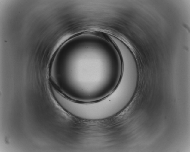 X0000097861048200803141234