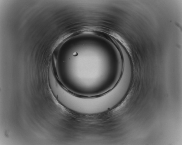 X0000097861049200803141234