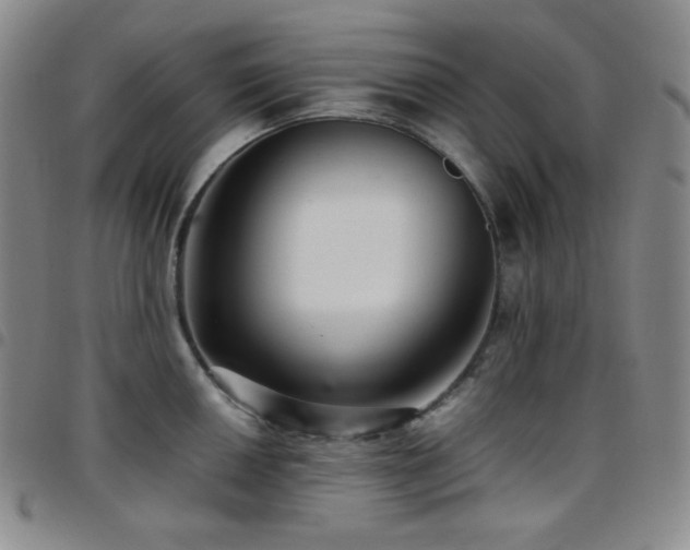 X0000097861050200803141234