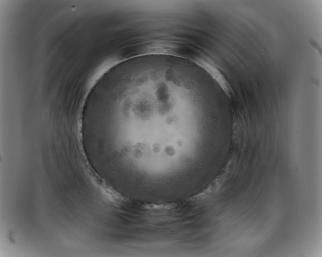 X0000097861051200803141234