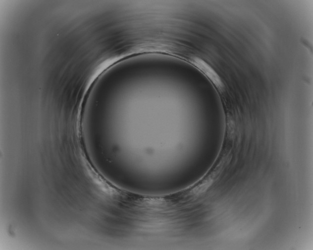 X0000097861052200803141234