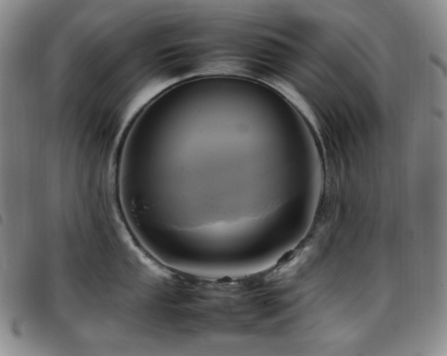 X0000097861053200803141234