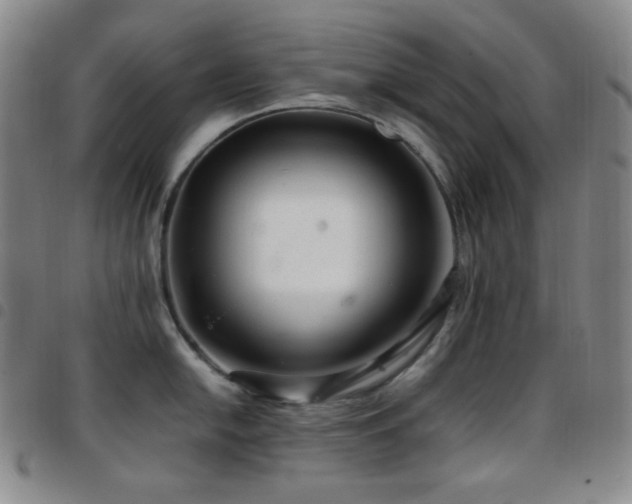 X0000097861054200803141234