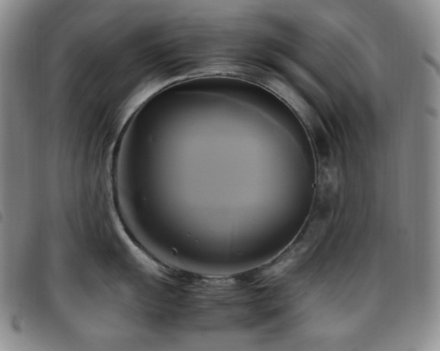 X0000097861055200803141234