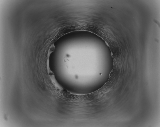 X0000097861057200803141233