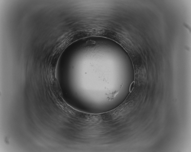 X0000097861058200803141233