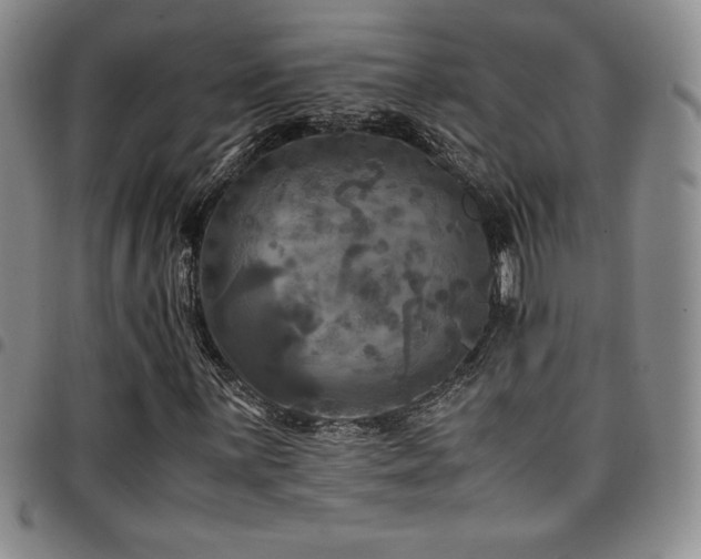 X0000097861059200803141233