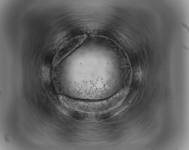 X0000097861060200803141233