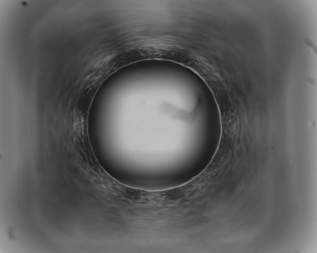 X0000097861061200803141233