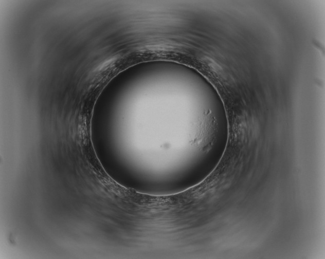 X0000097861062200803141233