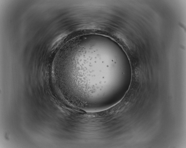 X0000097861064200803141233