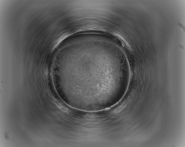 X0000097861065200803141233