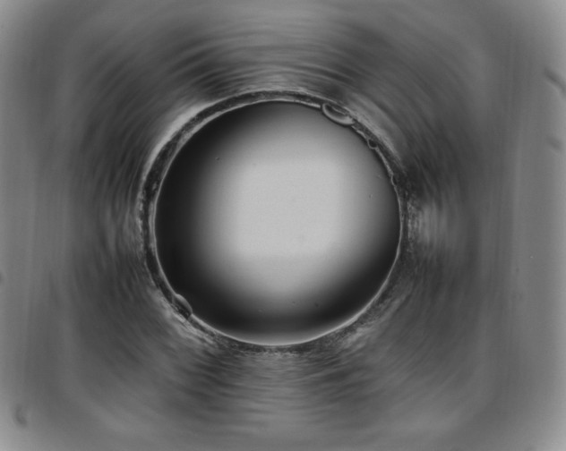 X0000097861068200803141233