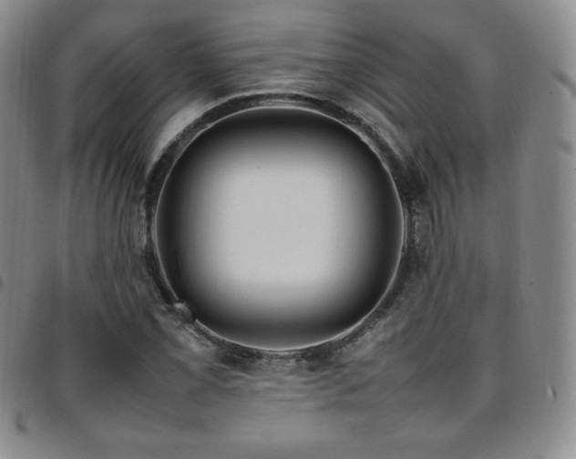 X0000097861069200803141233