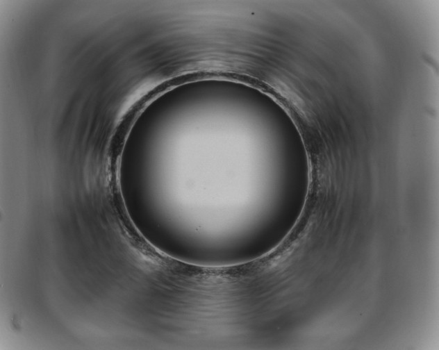 X0000097861070200803141233