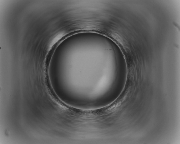 X0000097861071200803141233