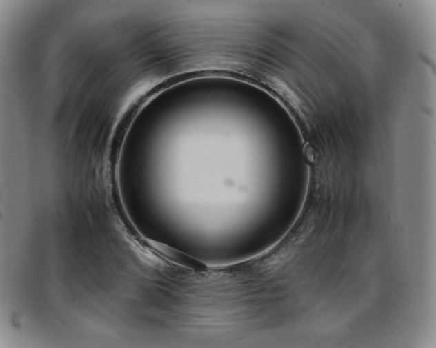 X0000097861072200803141233