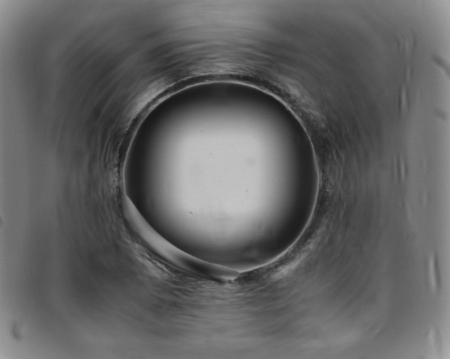 X0000097861073200803141233