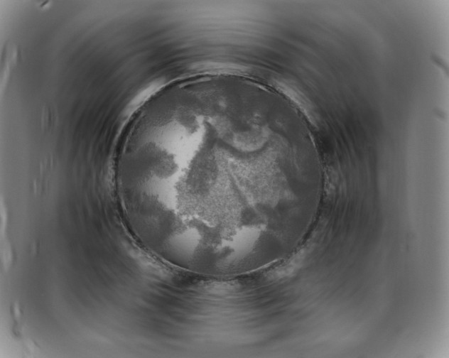 X0000097861074200803141233