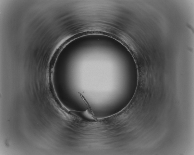 X0000097861076200803141233