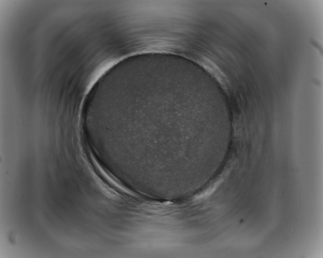 X0000097861077200803141233