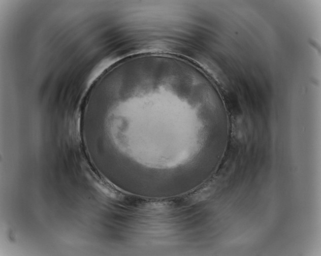 X0000097861078200803141233