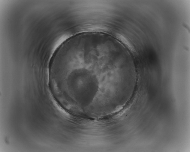 X0000097861079200803141233