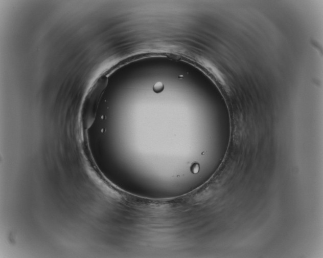 X0000097861080200803141233