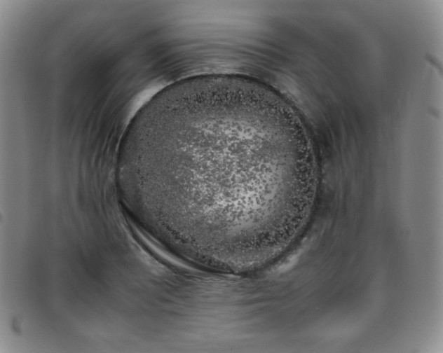 X0000097861081200803141233