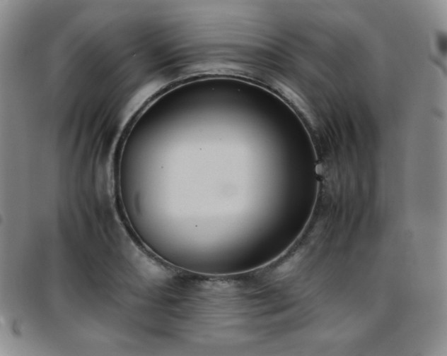 X0000097861082200803141233